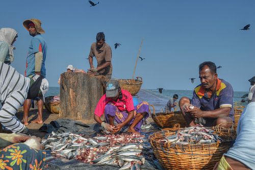 Fisherman's market in Sri Lanka