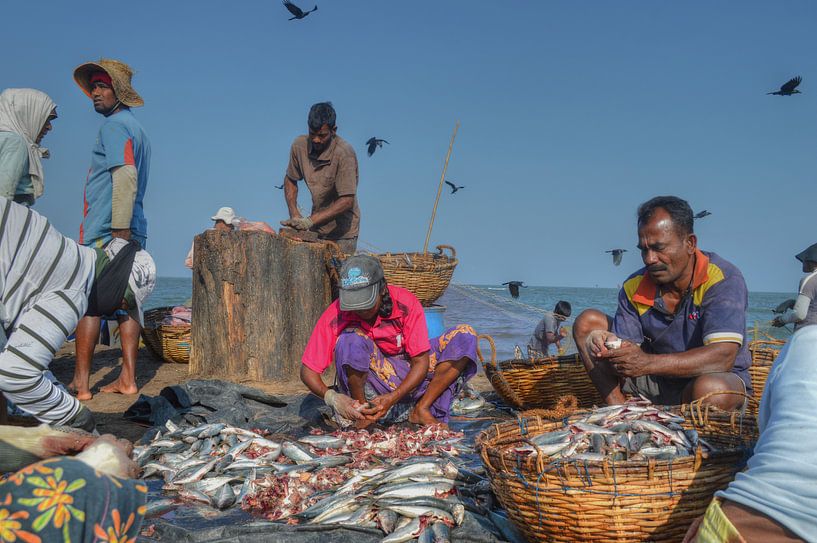Vissersmarkt in Sri Lanka van Aart Reitsma
