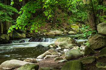 Landschaft im Bodetal im Harz