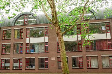 Utrecht - boom doorbreekt symmetrie van Wout van den Berg