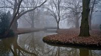 Schloss Hillenraad Boukoul / Schwalben im Nebel