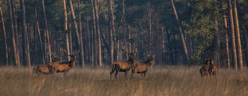 Samen op pad in de vroege ochtend von Irma Huisman