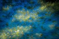 Monet in Nederland van Jose Gieskes thumbnail