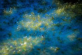 Monet in den Niederlanden von Jose Gieskes