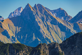 Die grüne Königin der Alpen von Walter G. Allgöwer