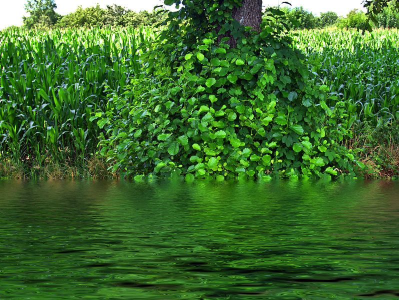 au ruisseau par Edgar Schermaul