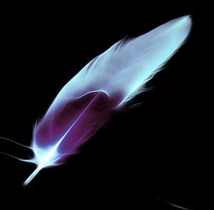 Neonartfeder cool