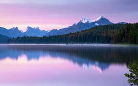 Maligne Lake, Jasper National Park, Alberta, Canada by Alexander Ludwig