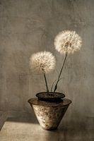 Stilleven. Zilver. Grijs. Pluizenbollen. Minimalisme.