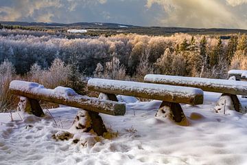 Zweedse winter van Margit Kluthke