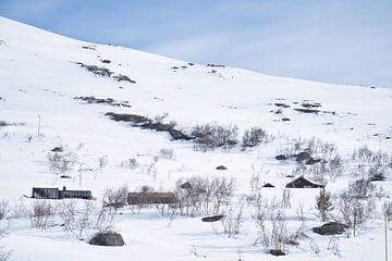 Noors hooggebergte, besneeuwde bergen en landschap van Martin Köbsch