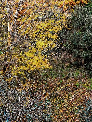 Kleur brengen in schaduw december Umbrië