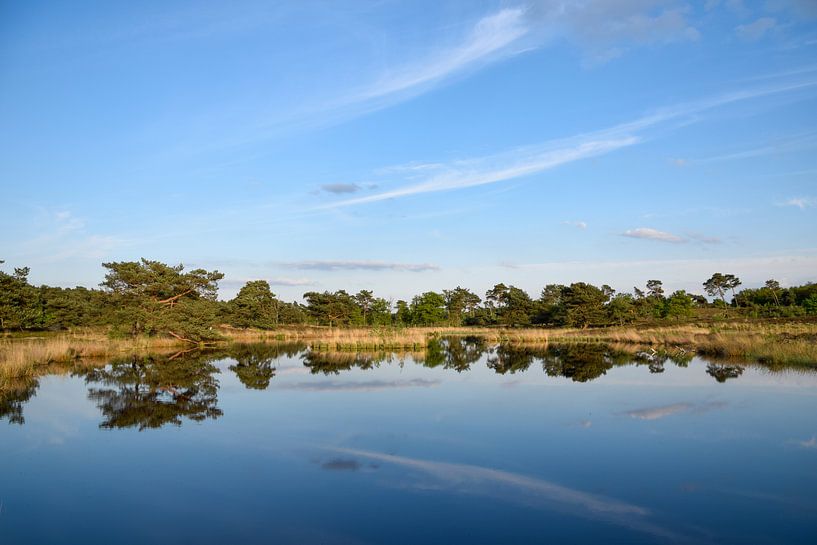 Reflexion im blauen Wasser von Manon Verijdt