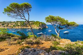 Island landscape of Portals Vells, beautiful bay by Alex Winter