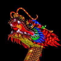 Dragons Head