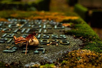 Friedhof von Johnny Flash