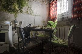 Plant on Table sur Perry Wiertz