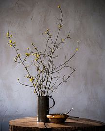 La Hollande dans sa gloire d'antan sur Affect Fotografie