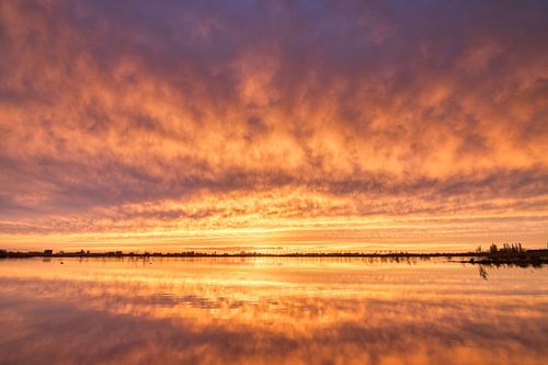 New Driemanspolder (1)