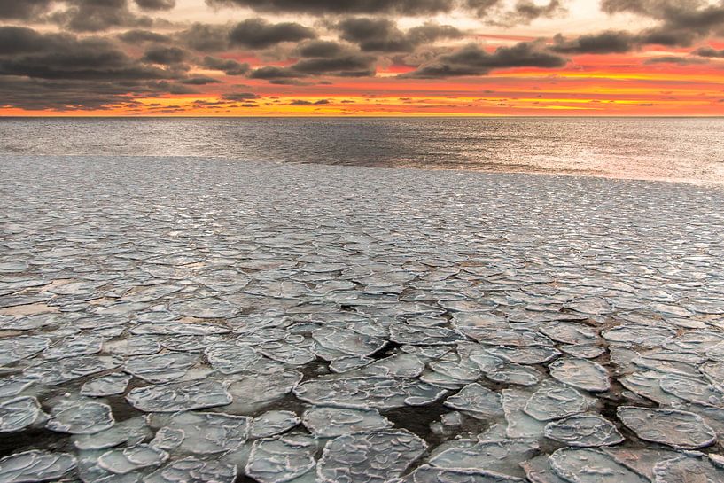 Pancake ice - Antarctica by Family Everywhere