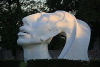 Maya head