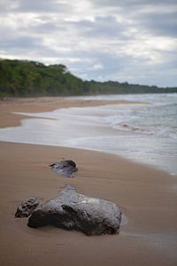Einsame Karibikküste - Costa Rica