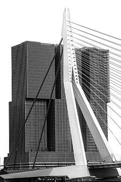 Stadsbeeld Rotterdam met brug in zwart-wit