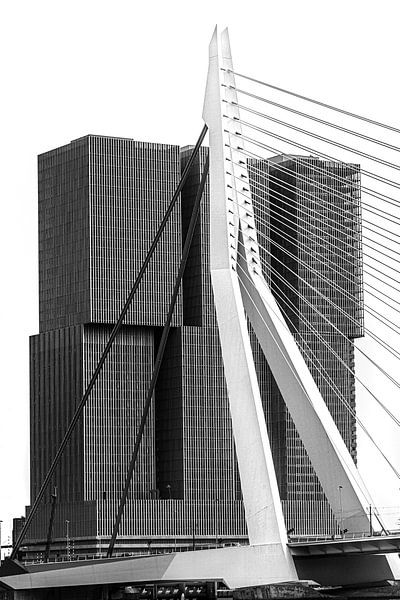 Rotterdam cityscape with bridge in black and white by Harrie Muis
