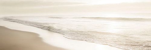 Gentle coastal magic in the morning light