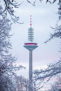 Der Fernsehturm von Frankfurt am Main, Vom Schnee und Bäumen eingerahmt