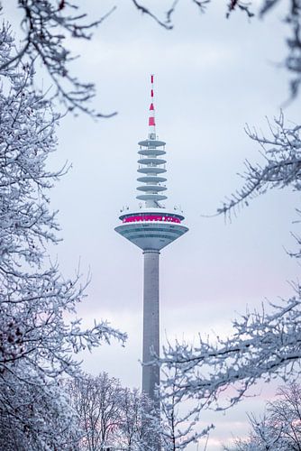 De TV-toren van Frankfurt am Main, omlijst door sneeuw en bomen