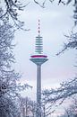 De TV-toren van Frankfurt am Main, omlijst door sneeuw en bomen van Fotos by Jan Wehnert thumbnail