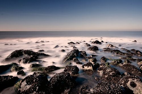 The Dutch coast