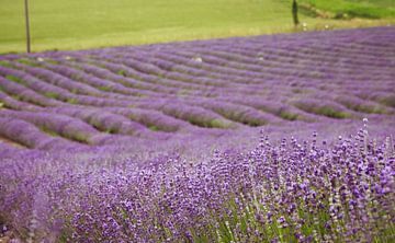 Die Bayrische Provence