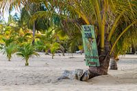 Belize-Strand Chihuahua-Schild