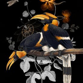 Buceros Bicornis by Marja van den Hurk
