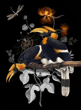 Buceros Bicornis by Marja van den Hurk