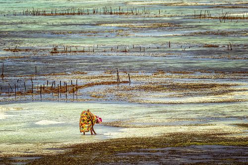 50 tinten groen van Marco Rutten