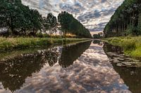 Row of trees in Beesd with reflection of clouds in the water