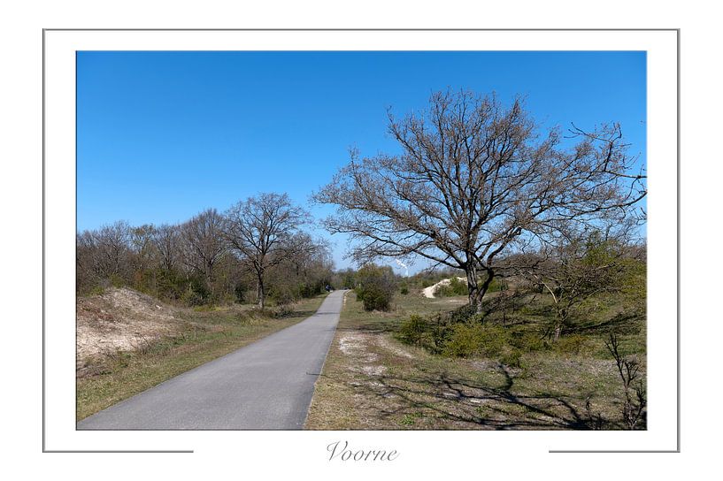 Dune de Voornes par Richard Wareham