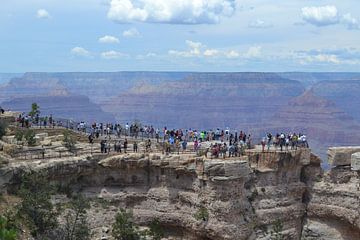 Drukte bij de Grand Canyon van Inge Assen