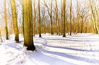 Winter bos van Erik Reijnders thumbnail
