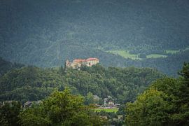 Bled Castle by Maurice Hoogeboom