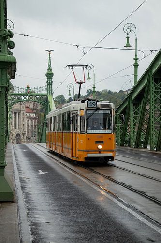 Moments de pluie sur le pont de la Liberté à Budapest sur Nynke Altenburg