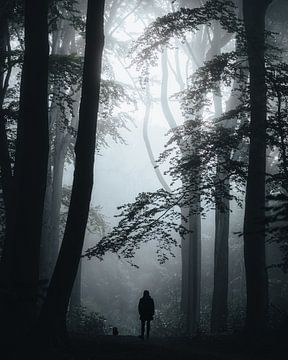 Spaziergang durch einen nebligen Wald von Picture Siron