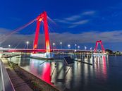 Die Willemsbrug - Rotterdam von Nuance Beeld Miniaturansicht