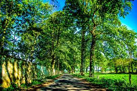 Cyclisme, cyclotourisme sur Norbert Sülzner