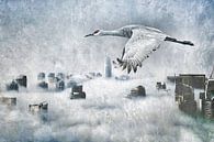 Transcend by Gitta Reiszner thumbnail