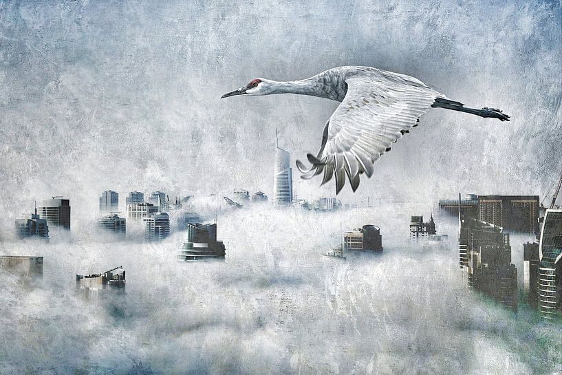 Transcend by Gitta Reiszner