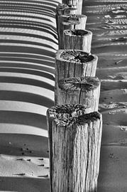 In all weathers by Zeeland op Foto